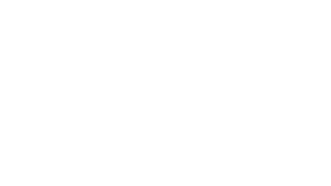 Microsoft Dynamics